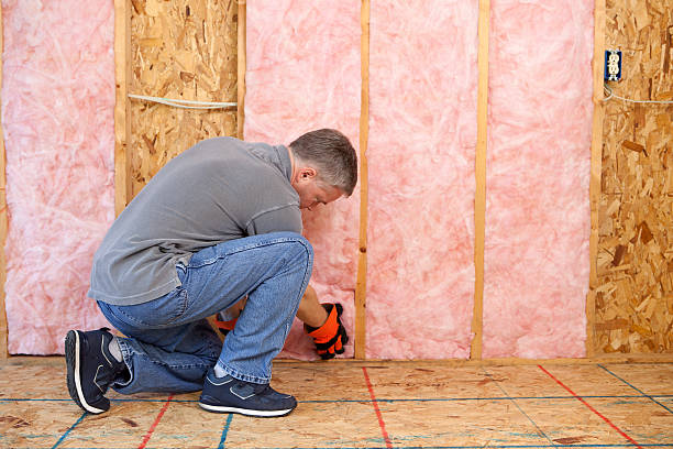 Professional Insulation Contractor in Somerset, WI